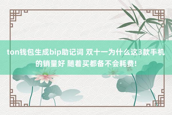 ton钱包生成bip助记词 双十一为什么这3款手机的销量好 随着买都备不会耗费!