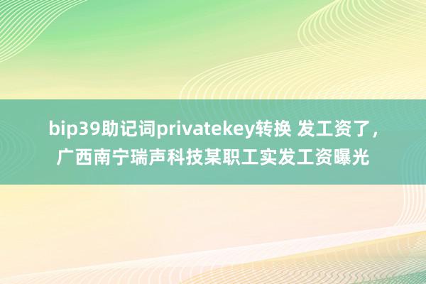 bip39助记词privatekey转换 发工资了，广西南宁瑞声科技某职工实发工资曝光