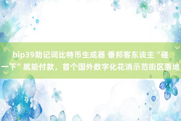 bip39助记词比特币生成器 番邦客东谈主“碰一下”就能付款，首个国外数字化花消示范街区落地